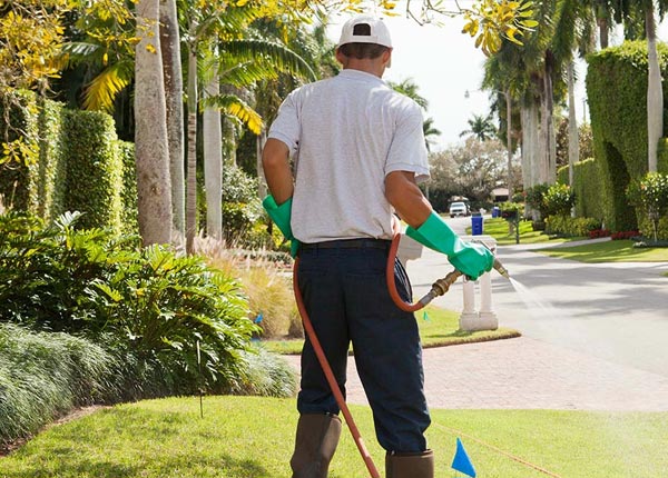 About Elkhart KS Pest Control